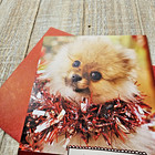 Christmas Greeting Card Pom Dog Puppy Green Polka Dots Glitter Hallmark