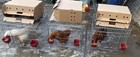 3 Pack Show Chicken Wire Pens 20   x20   x16    High  Poultry Show Cages W front Door