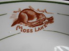 Big Moose Ny Moss Lake Camp China Adirondacks Ny Old Forge Inlet Raquette Lake