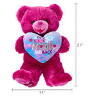 Way To Celebrate Large Sweetheart Teddy Bear Plush 21 Inch Pink
