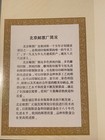China Prc Stamps In Specialty Album Mnh Souvenir Sheets 1959-89 L2014