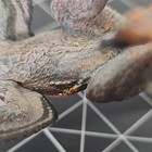 Papo Feathered Velociraptor Dinosaur Figure 2016 Realistic Collector Toy