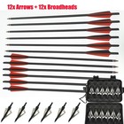 20  Hunting Arrows Crossbow Bolts   or 100 Grain Broadheads Crossbow Shooting