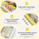 Incubadora De Huevos  Incubadora De 36-60 Huevos Con Giro Autom  tico De Huevos