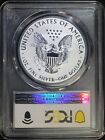 2019 W American Silver Eagle Enhanced Reverse Proof Silver Eagle Pcgs Pr70 Ase