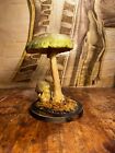 Vintage Death Cap Mushroom School Educational Model 1960 s Amanita Phalloides