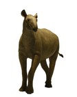 Paraceratherium Indricotherium Prehistoric Mammal Model Figure Toy Eofauna