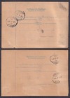 W2911  Austria  2 Stk  Parcel Card Cover T constantinople Levant Turkey 1917
