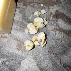 Vintage Lot Of Real Human Teeth Anatomy Tooth Dental Oddity Read Tooth Fairy Box