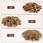 3 8 Inch Aquarium Gravel  Polished Fish Tank Rocks 3 8inch Mixed Color 1 Pound