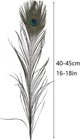 10pcs Long Natural Peacock Feathers 16-18 Inch For Tall Vases Home 