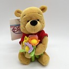 Disney Pooh Flower Mini Bean Bag Plush 8 Inch Disney Store New With Tags