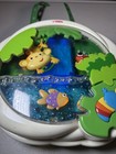 Fisher Price Rainforest Waterfall Soother Jungle Peek-a-boo Baby Crib Toy