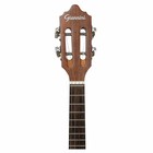 Giannini Performance Plus Cs-34 Sls Eq Electro-acoustic Cavaquinho     Brazil