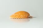 Nessastores Orange Pecten Sea Shell Beach Craft Scallop 2  - 3   16 Pcs    jc-31