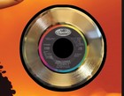 Tina Turner Whats Love Got To Do With It  Wood Framed 45 Gold Record Display C3
