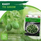 - Cucamelon Seeds For Planting Delicious Bite Sized Fruits 75  Non-gmo Heirlo   