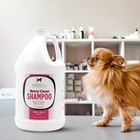 Groomer Essentials Berry Clean Dog Shampoo Gallon