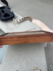Antique Wood And Glass Display Case Velvet Interior