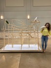 Huge Macaw Parrot Jungle Playgym Stand Perch - Parrot Perch - Bird Stand