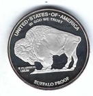 2006 Indian Head Buffalo Silver Plated Proof Souvenir Coin Medal Token