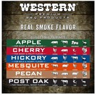 500 Cu In Pecan Smokers Chunks For Bbq Smoking Grilling Cooking Wood Chunks