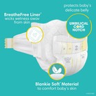 Pampers Swaddlers Preemie Diapers With Leak Protection And Wetness Indicator