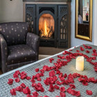 1000 Pcs Flower Petals Artificial Red Silk Fake Rose Petals For Romantic Decor