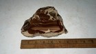 Georgeous And Unusual Bruneau Jasper Slab