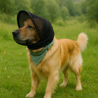 Dog Head Net Mesh Protective Foxtail Guard Face Guard Mouth Cover Outdoor Hiking