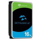 Seagate Skyhawk 16tb St16000ve004