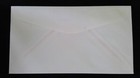 Scott 3247 3248 Fdc Chili Pepper Wreath Tropical Wreath Christmas Pcs Cachet
