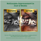 Dog Dental Powder - Plaque Off Powder - Dog Teeth Natural Cleaning Powder - Dogs