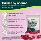 Boochbod - Probiotic Kombucha Gummy - Prebiotics  30 Count  pack Of 1 