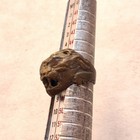 Very Rare Ancient Roman Era Bronze Ring Tiger Head Authentic Artifact Genuine