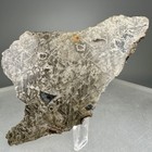 Iron Iab-mg Meteorite Slice  155 5 Grams   Odessa Meteorite  Texas  Usa- Rare 