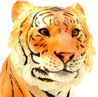 8 1 4  New  Sitting Yellow Tiger Collectible Figurine Animal Statue Home Decor