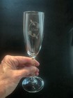 Champagne wine Bride   Groom Toasting Glasses Set Of 2   5 Oz  