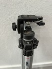 Bogen Manfrotto 3126 Fluid Head Bogen  Professional Italy Tripod