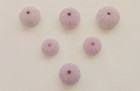 6 Rare Purple Sea Urchins 40-57 Mm For Air Plant Holder Diy Supplies Crafts