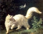 Handmade Old Master-art Antique Oil Painting Animal Cats Kitten On Canvas 20x24 