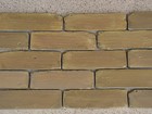 Antique Brick Veneer Side Molds 8x2  Cover Wall Floor Patio  45 5 Free Fast Ship