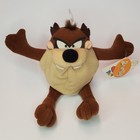 Vintage Looney Tunes Tasmanian Devil Taz Plush Set Birthday   Beanbag 1997 1998