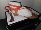 Nine West Gannon Orange Strappy Thong Gladiator Sandal Size 6   New In Box