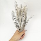 New 10pcs 50pcs 100pcs 20-25cm Natural Silver Pheasant White Tail Feather