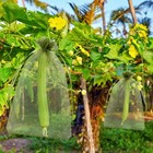 12x16 Inch Fruit Protection Bags  Garden Mesh Bags For Vegetables Garden Supp   
