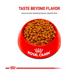 Royal Canin Feline Health Nutrition Kitten Dry Cat Food  14 Lb Bag