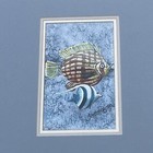 Angel Fish Aquarium Salt Water Ocean Nautical Original Art Set 2 Ooak       blt11m1