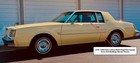 1978-1980 Olds Cutlass Buick Regal Dew Sweeps Outer Belt Moldings Narrow Chrome
