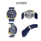 Citizen Promaster Marine Ny0096-12l Fugu Asia Limited Edition 42mm Diver Watch